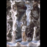 Geyser's Origin detail 8x5 in.jpg